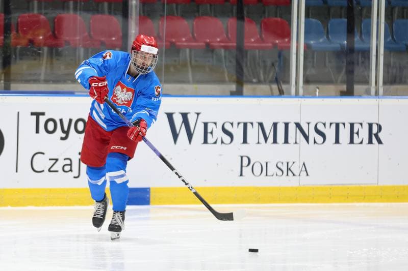 Ice Hockey. Poland national team. Training. 22.04.2024
