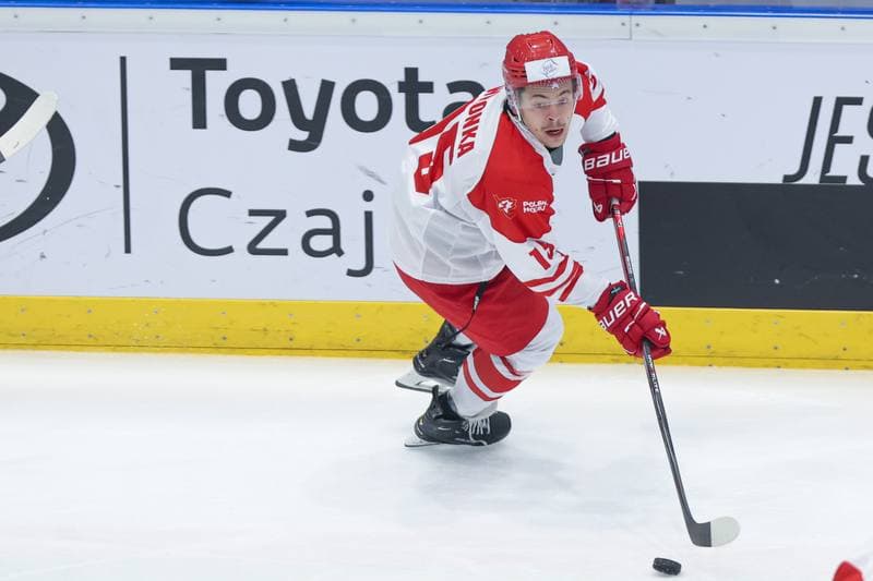 Ice Hockey. Friendly Match. Poland - Denmark. 07.05.2024