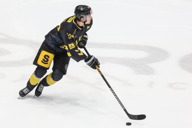 Ice Hockey. Tauron Hokej Liga. EC Bedzin Zaglebie Sosnowiec - GKS Katowice. 01.12.2024