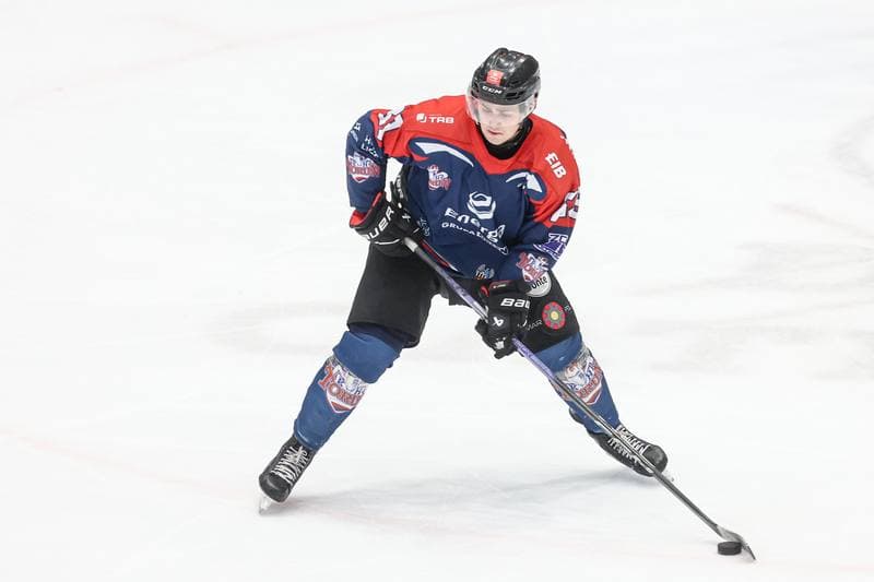 Ice Hockey. Tauron Hokej Liga. EC Bedzin Zaglebie Sosnowiec - KH Energa Torun. 19.01.2025