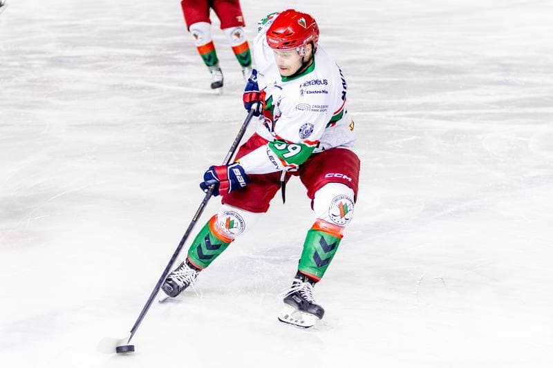 Ice Hockey. PHL. Zaglebie Sosnowiec - GKS Katowice. 08.01.2023