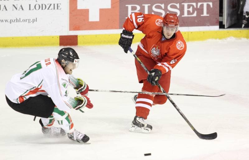 Ice Hockey. Euro Ice Hockey Challenge. Poland - Romania. 08.02.2013