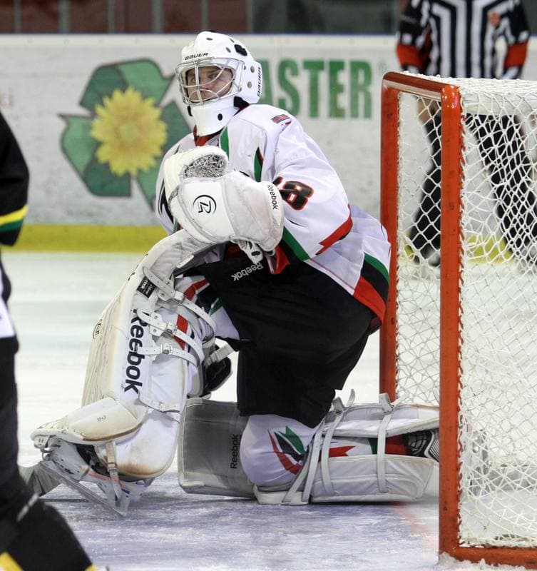Ice Hockey. Polska Hokej Liga. GKS Tychy - HC GKS Katowice. 25.10.2013