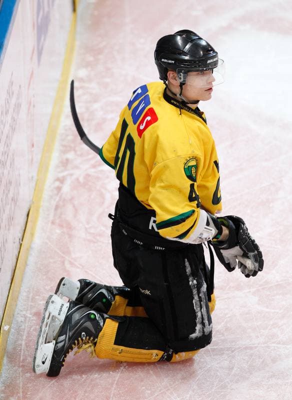 Ice Hockey. Polska Hokej Liga. HC GKS Katowice - Aksam Unia Oswiecim. 10.01.2014