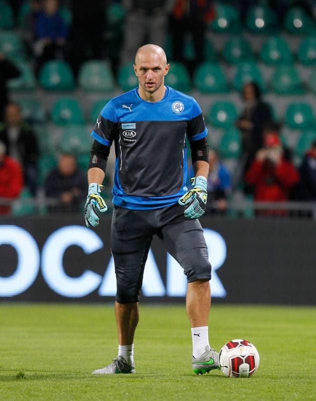 Football. UEFA Euro Qualifiers. Slovakia - Ukraine. 08.09.2015