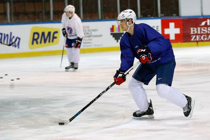 Ice Hockey. France. Training. 15.12.2015