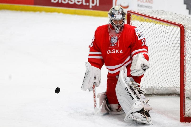 Ice Hockey. EIHC. Kazakhstan - France. 17.12.2015