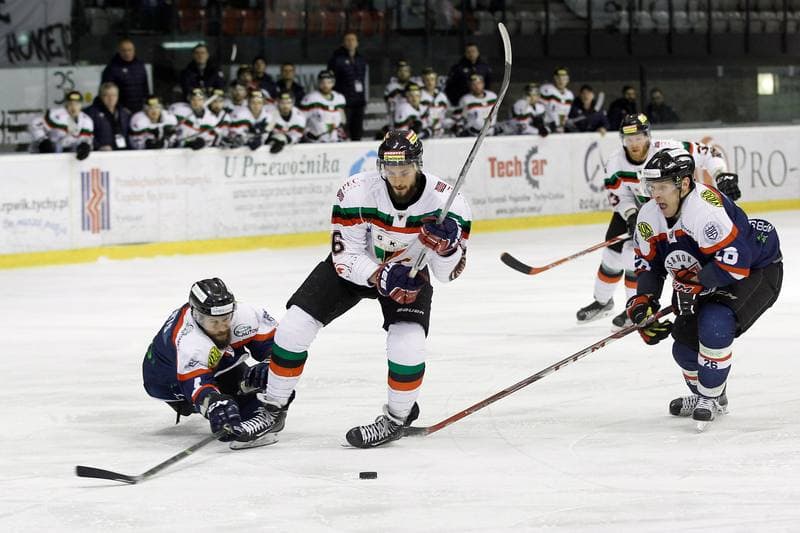 Ice Hockey. Polska Hokej Liga. GKS Tychy - Ciarko STS Sanok. 15.01.2016