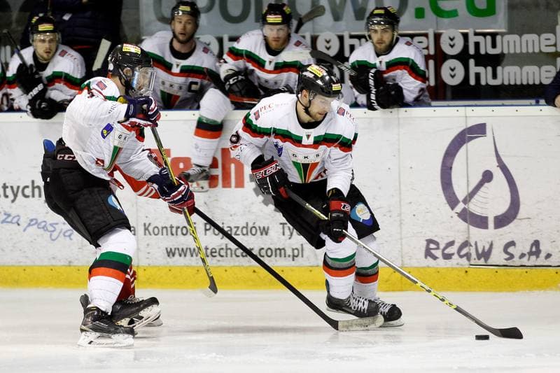 Ice Hockey. Polska Hokej Liga. GKS Tychy - Comarch Cracovia Krakow. 26.01.2016