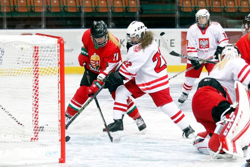 Ice Hockey. Women's Friendly Match. Poland - Hungary. 05.02.2016