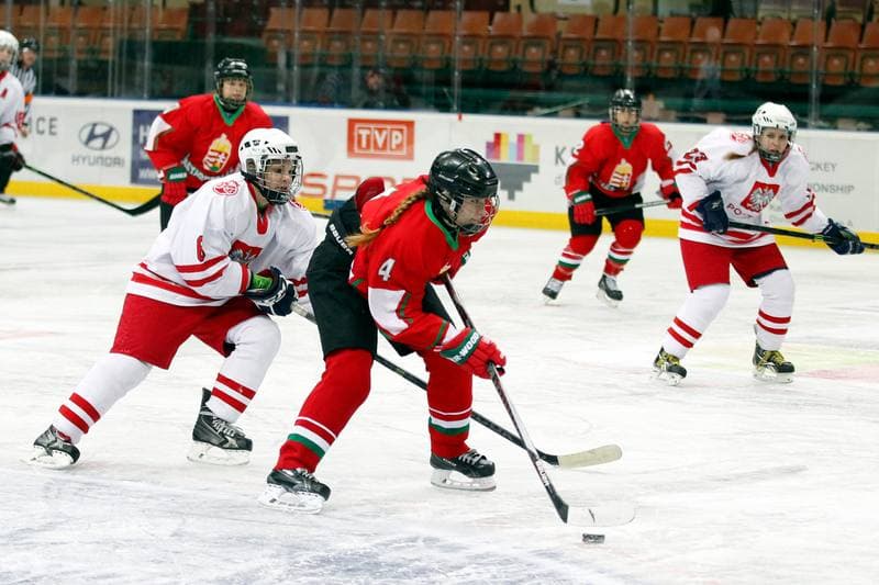 Ice Hockey. Women's Friendly Match. Poland - Hungary. 05.02.2016