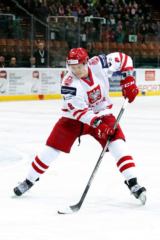 Ice Hockey. Poland national team. Polska - Gwiazdy PHL. 06.02.2016