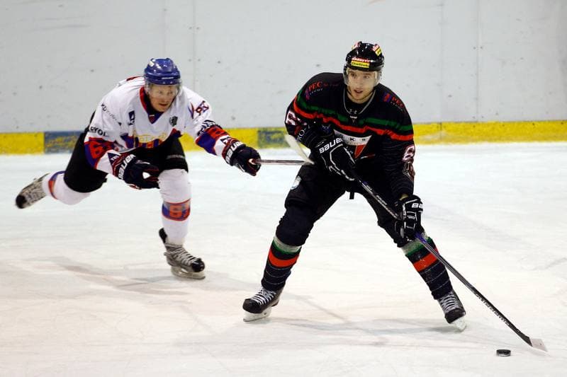 Ice Hockey. Tauron Hokej Liga. Polonia Bytom - GKS Tychy. 23.02.2016