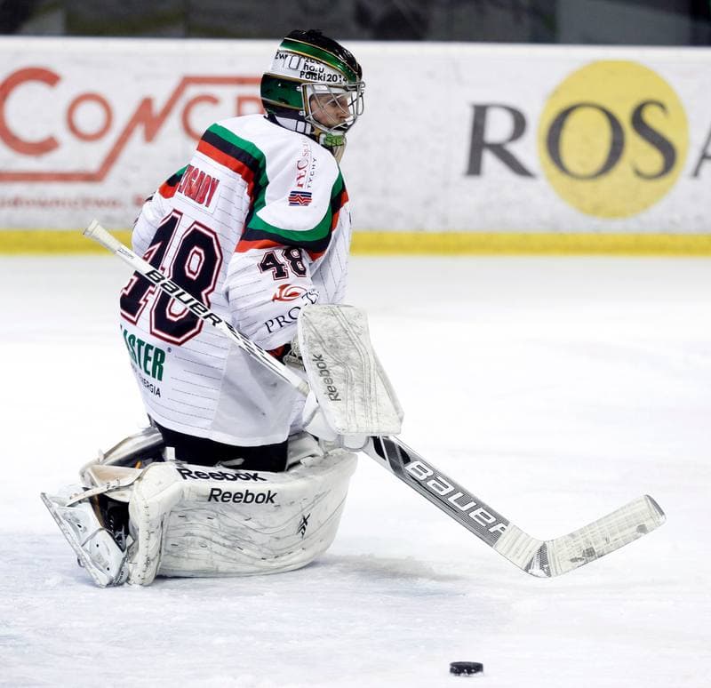 Ice Hockey. Polska Hokej Liga. GKS Tychy - Podhale Nowy Targ. 29.02.2016