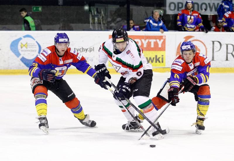 Ice Hockey. Polska Hokej Liga. GKS Tychy - Tatryski Podhale Nowy Targ. 01.03.2016