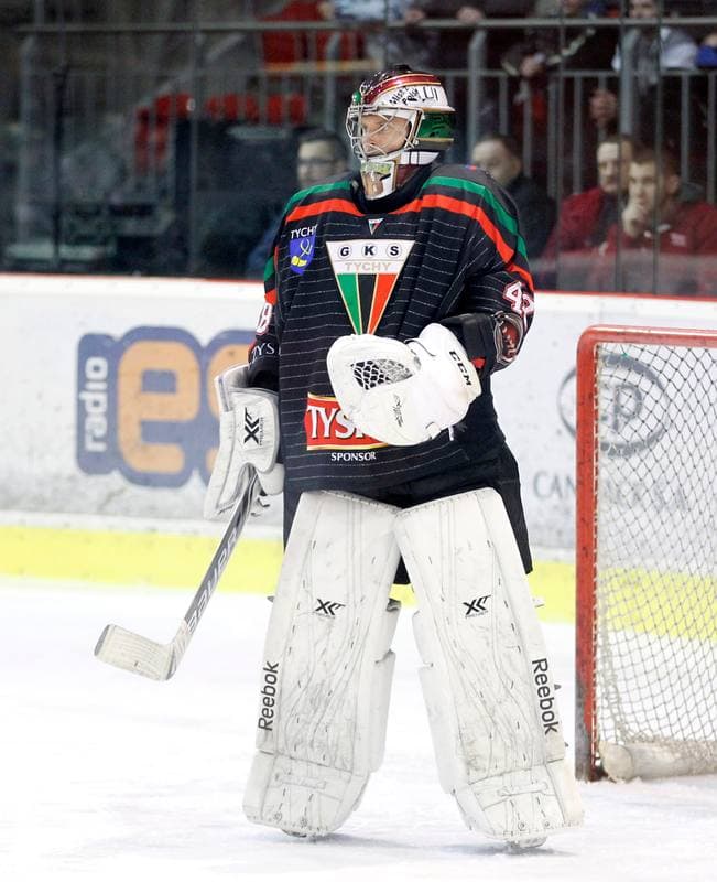 Ice Hockey. Polish Hockey League. Comarch Cracovia - GKS Tychy. 22.03.2016