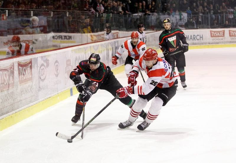 Ice Hockey. Polish Hockey League. Comarch Cracovia - GKS Tychy. 22.03.2016