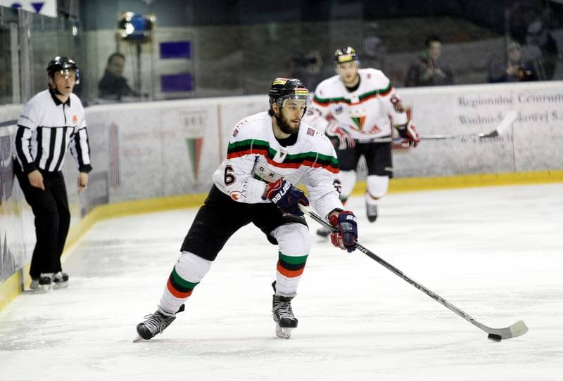 Ice Hockey. Polish Hockey League. GKS Tychy - Comarch Cracovia. 24.03.2016