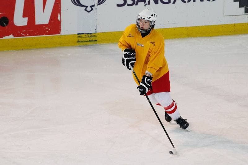 Ice Hockey. Poland Women's National Team. Training. 30.03.2016