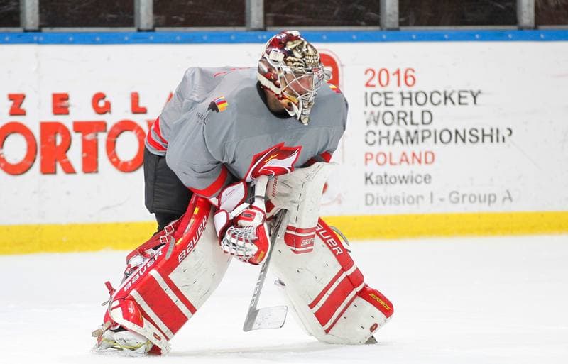 Ice Hockey. Poland national team. Training. 13.04.2016