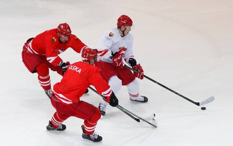 Ice Hockey. Poland national team. Training. 13.04.2016
