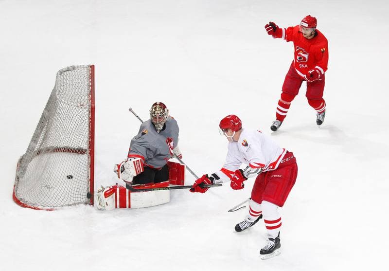 Ice Hockey. Poland national team. Training. 13.04.2016