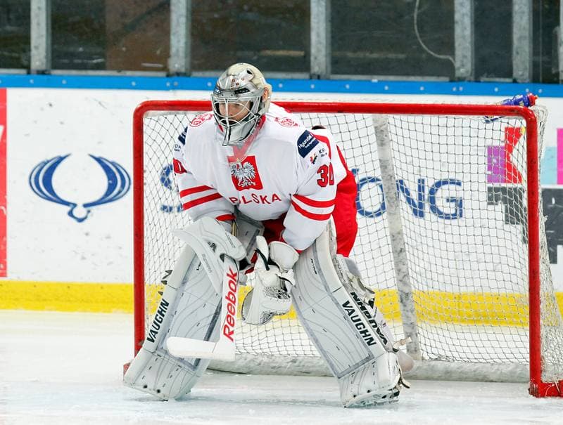 Ice Hockey. International Friendly Match. Poland - Lithuania. 14.04.2016