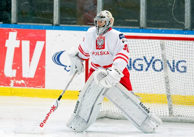 Ice Hockey. International Friendly Match. Poland - Lithuania. 14.04.2016