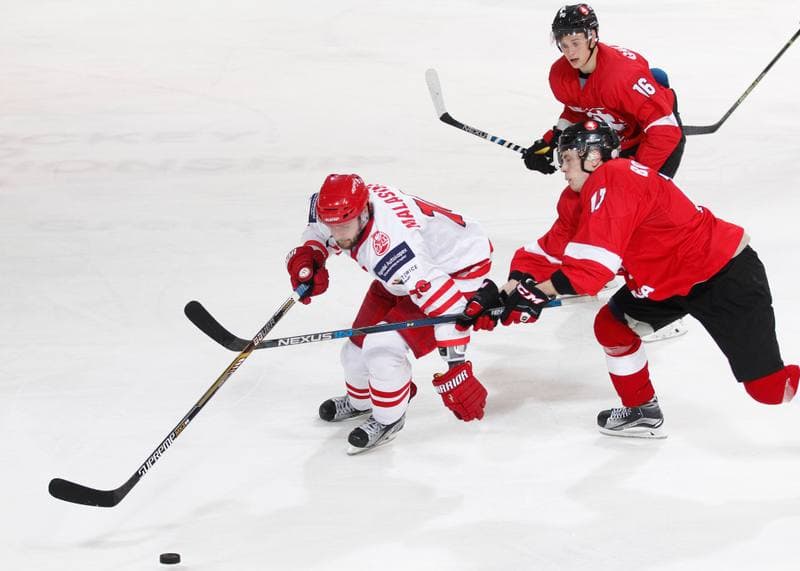 Ice Hockey. International Friendly Match. Poland - Lithuania. 14.04.2016