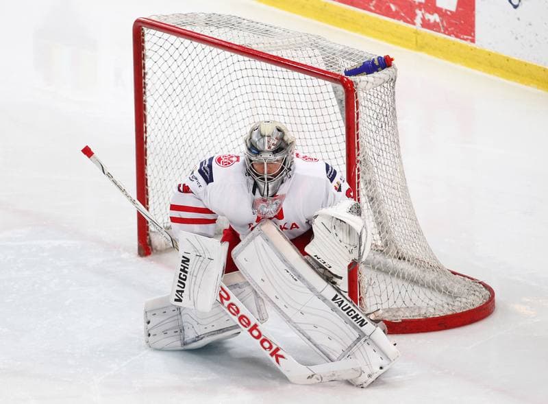 Ice Hockey. International Friendly Match. Poland - Lithuania. 14.04.2016