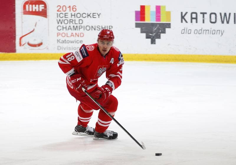 Ice Hockey. International Friendly Match. Poland - Korea. 16.04.2016