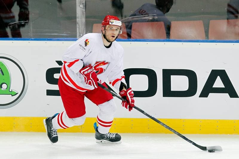 Ice Hockey. Poland national team. Training. 24.04.2016