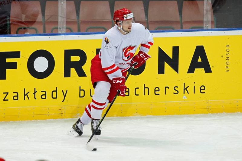 Ice Hockey. Poland national team. Training. 24.04.2016