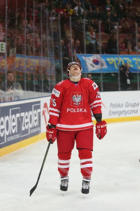 Ice Hockey. World Championship Division 1A. Poland - Korea. 24.04.2016