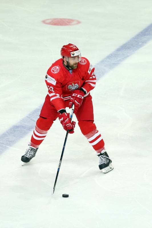 Ice Hockey. World Championship Division 1A. Poland - Japan. 29.04.2016