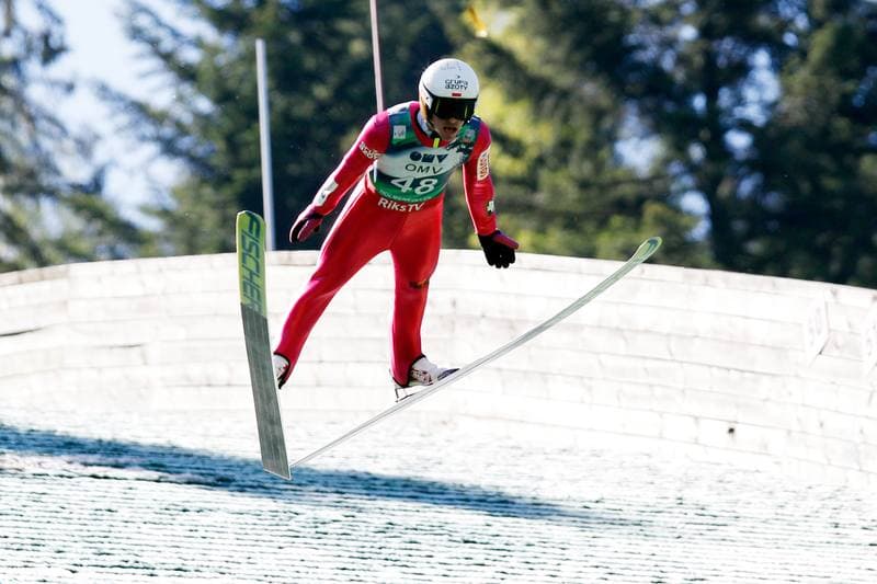 Ski Jumping. Poland national team. Training. 12.05.2016
