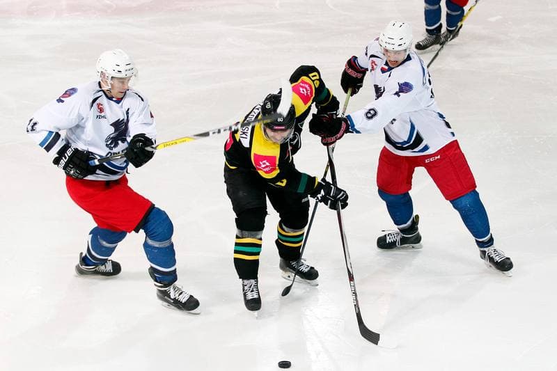 Ice Hockey. Tauron Hokej Liga. GKS Katowice - SMS PZHL Sosnowiec. 27.11.2016