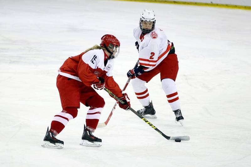 Ice Hockey. U18 Women's World Championship. Poland - Denmark. 08.01.2017