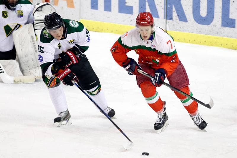Ice Hockey. I Liga. Naprzod Janow - Zaglebie Sosnowiec. 22.01.2017