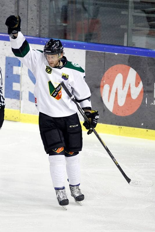 Ice Hockey. I Liga. Naprzod Janow - Zaglebie Sosnowiec. 22.01.2017