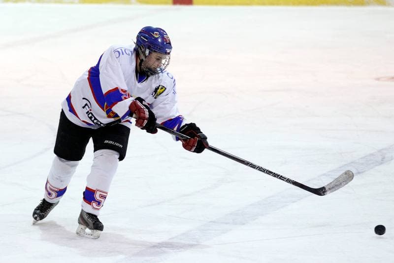 Ice Hockey. PLHK. Polonia Bytom - Atomowki Tychy. 27.01.2017