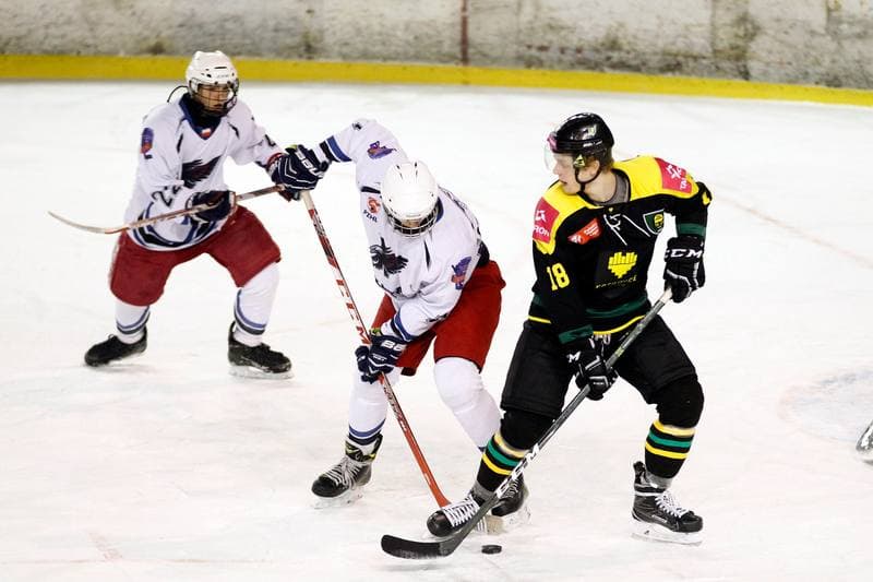 Ice Hockey. PHL. SMS PZHL Sosnowiec - Tauron KH GKS Katowice. 31.01.2017