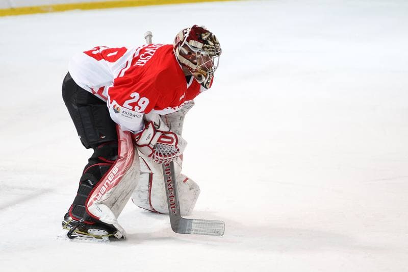 Ice Hockey. Euro Ice Hockey Challenge. Poland - Slovenia. 09.02.2017