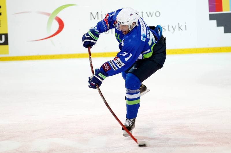 Ice Hockey. Euro Ice Hockey Challenge. Poland - Slovenia. 09.02.2017