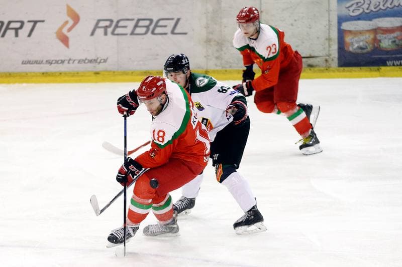 Ice Hockey. I Liga. Naprzod Janow - Zaglebie Sosnowiec. 12.03.2017