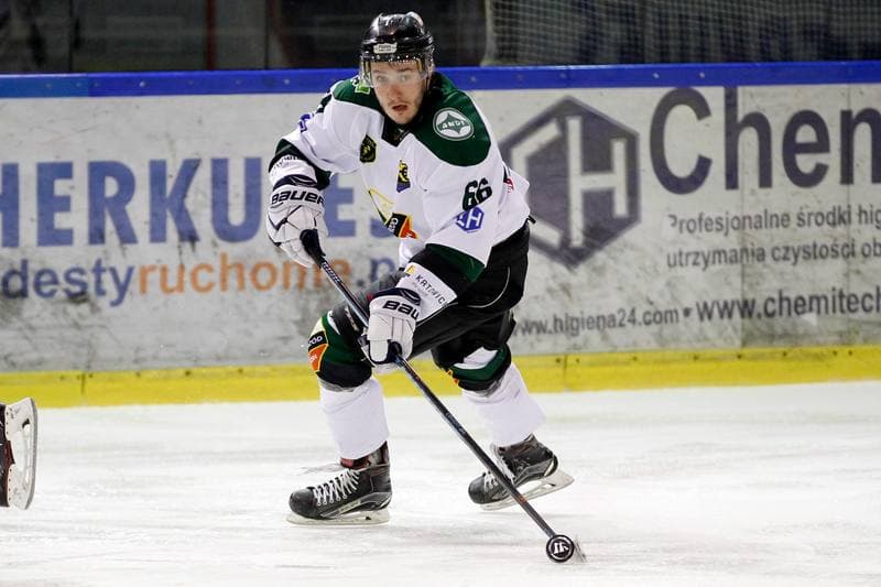 Ice Hockey. I Liga. Naprzod Janow - Zaglebie Sosnowiec. 12.03.2017