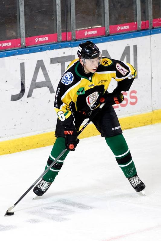 Ice Hockey. Polska Hokej Liga. SMS PZHL Katowice - JKH GKS Jastrzebie. 31.10.2017