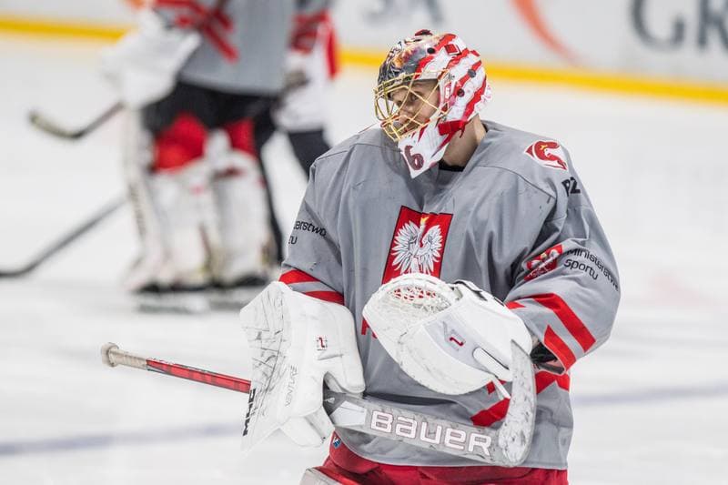 Ice Hockey. Poland national team. Training. 11.05.2021