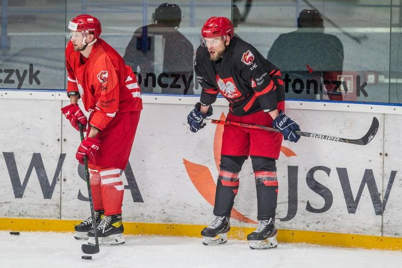Ice Hockey. Poland national team. Training. 11.05.2021
