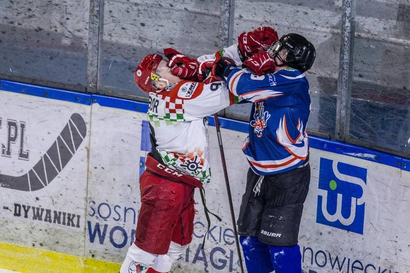 Ice Hockey. MHL. UKH Zaglebie Sosnowiec - Sokoly Torun. 08.01.2022